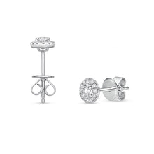 Load image into Gallery viewer, CEHA*01_00 Halo Studs Earrings
