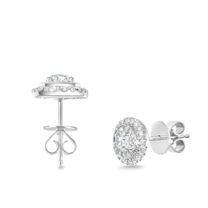 CEHA*22_00 Halo Studs Earrings