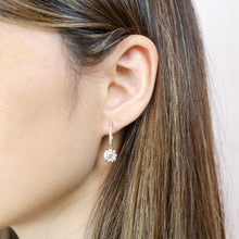Load image into Gallery viewer, FEBQ114_00 Diamond Bouquets Dangling Earrings
