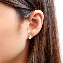 Load image into Gallery viewer, FEBQ166_00 Diamond Bouquets Dangling Earrings
