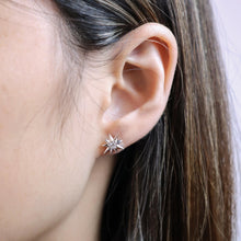 Load image into Gallery viewer, FEBQ314_00 Diamond Bouquets Studs Earrings
