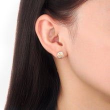 Load image into Gallery viewer, FELC117_00 L Collection Studs Earrings
