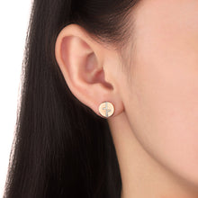 Load image into Gallery viewer, FELC119_00 L Collection Studs Earrings
